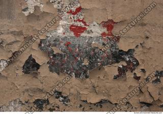 Walls Plaster